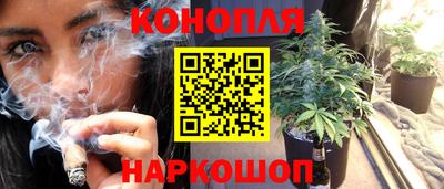 прущие крисы Аша