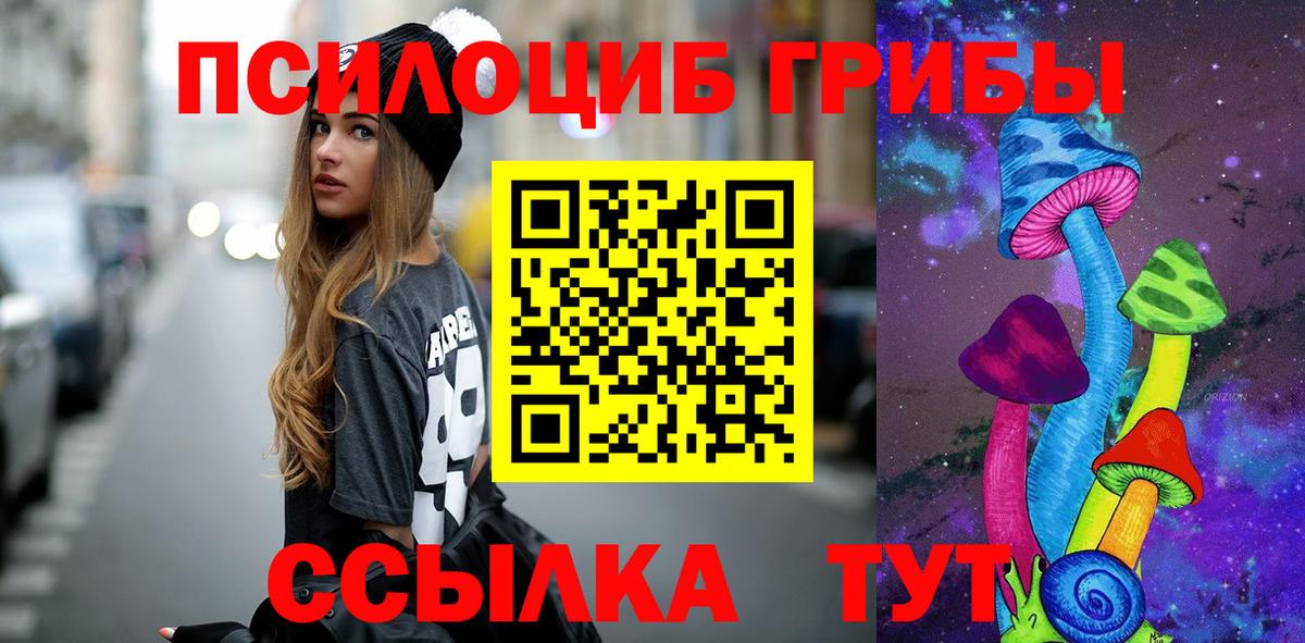 Галлюциногенные грибы Psilocybine cubensis  Вход с VPN  Галлюциногенные грибы мицелий  Ачхой-Мартан 